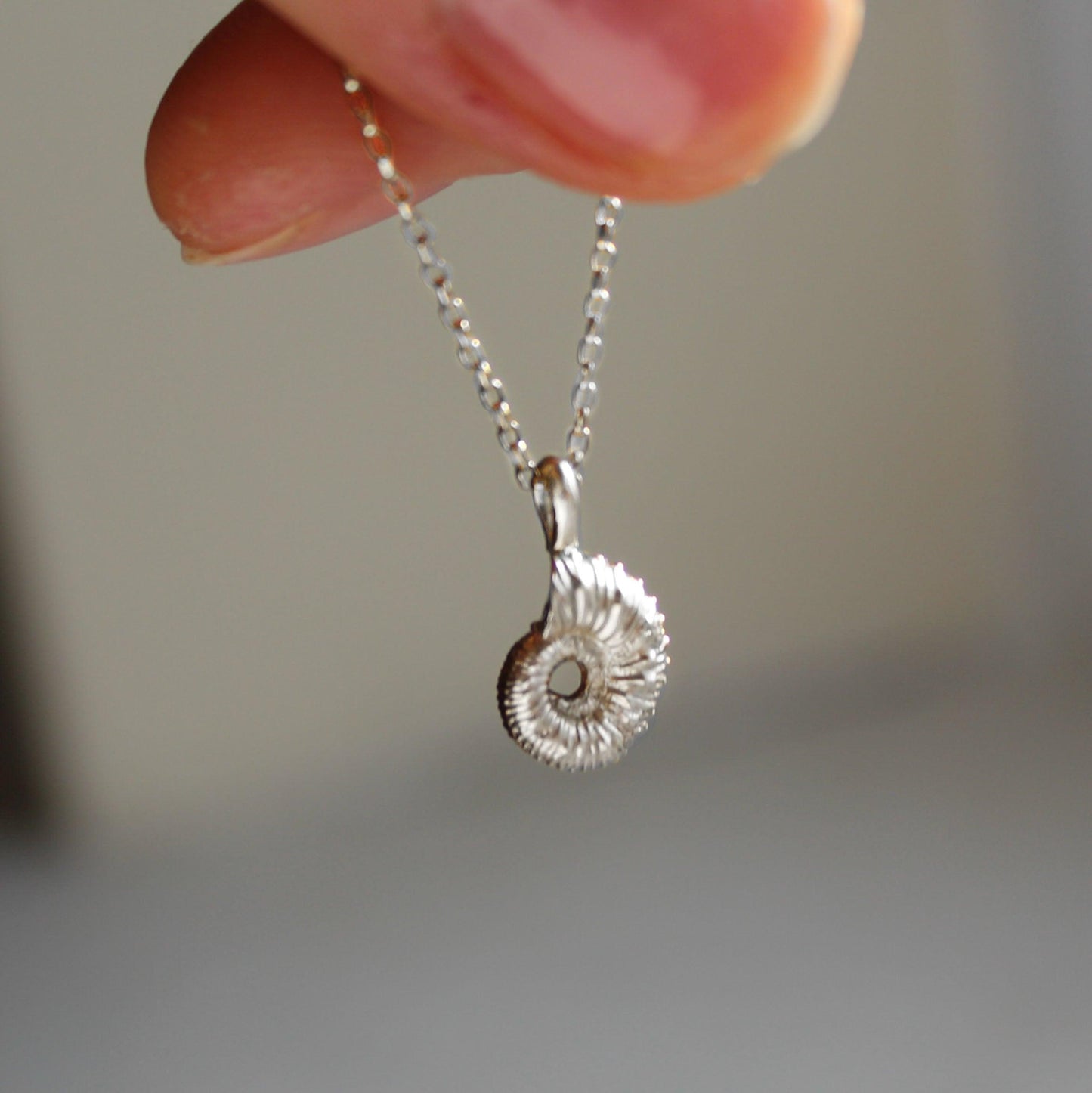 Ammonite Necklace - Silver - Brotheridge