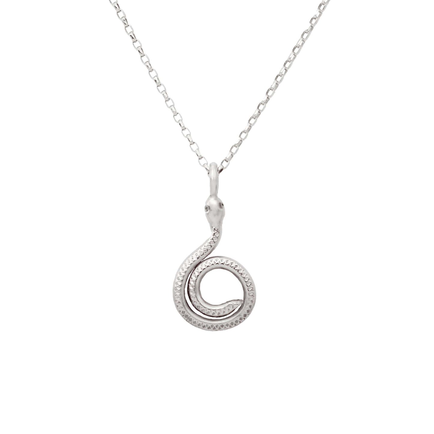 Spiral Snake Necklace - Silver