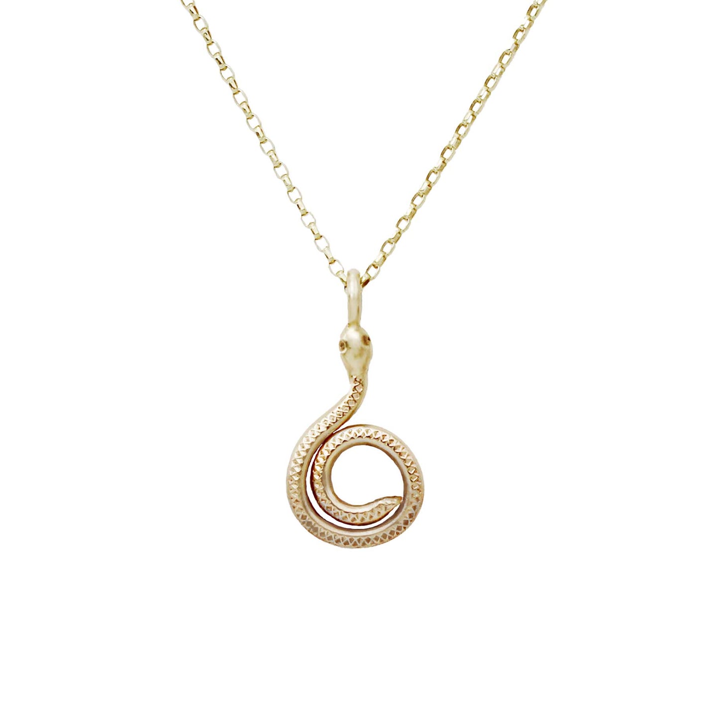 Spiral Snake Necklace - 9ct Gold