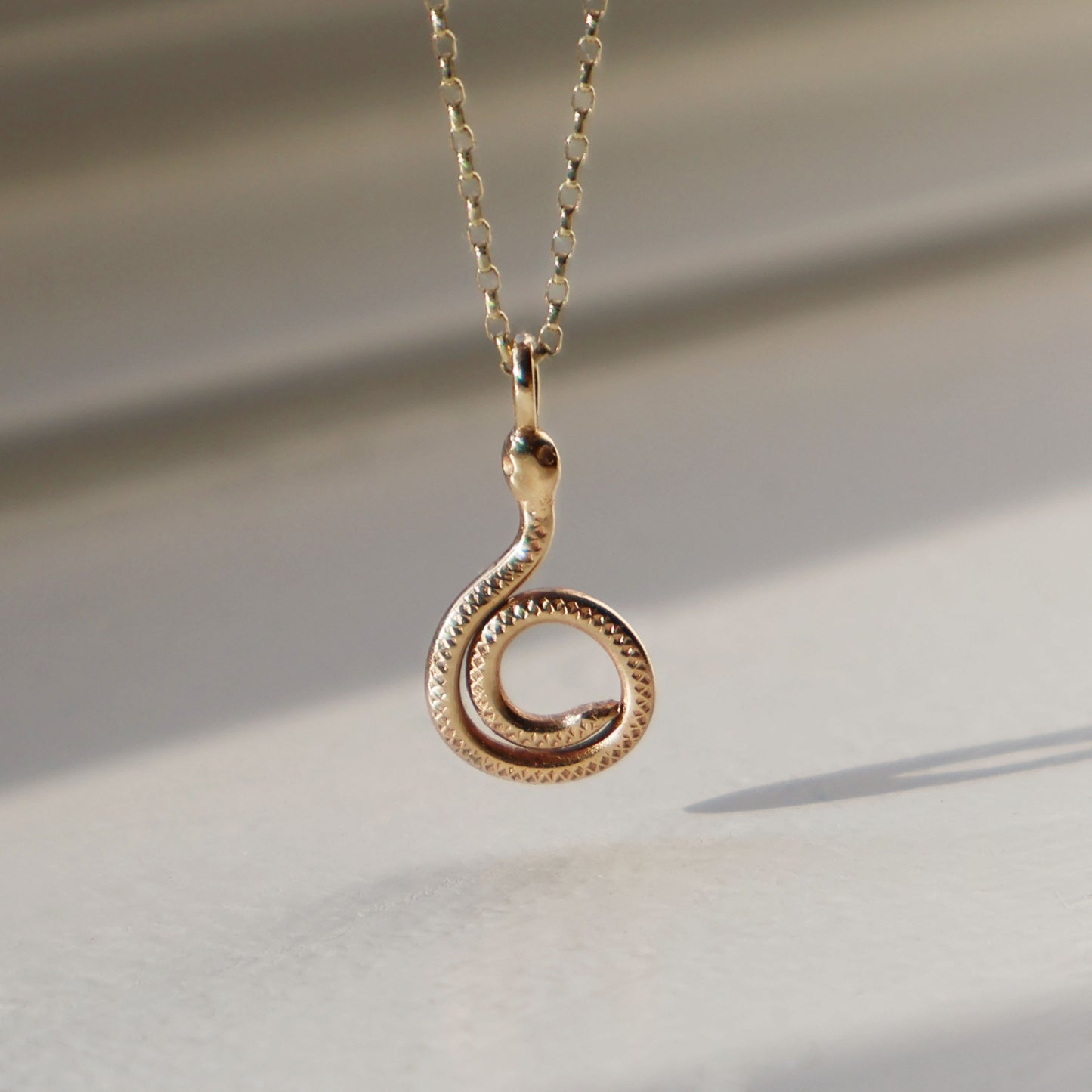 Spiral Snake Necklace - 9ct Gold